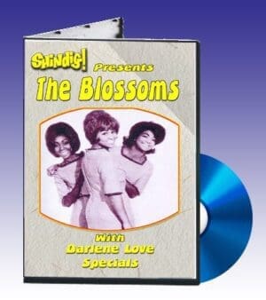 blossoms blossoms