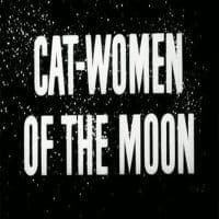 Cat Women Of The Moon