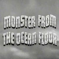 Monster  The ocean Floor