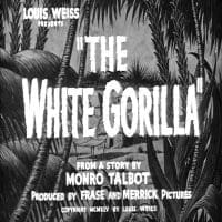 The White Gorilla