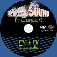 S&S - Flock Of Seagulls