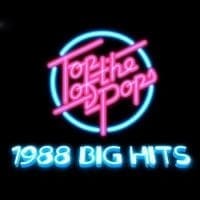 Big Hits 1988