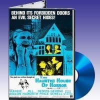 Haunted House Of Horror