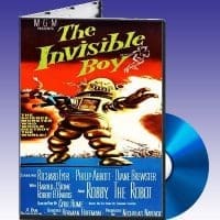 The Invisible Boy
